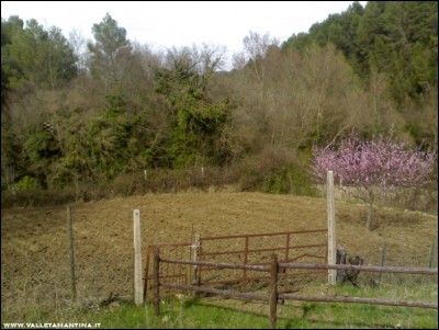 19032017orto-lavorato.jpg (203.14 KiB) Osservato 574 volte 19032017orto-lavorato.jpg