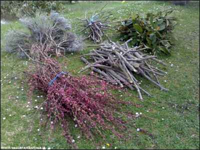 22032017potature-multicolor.jpg (360.02 KiB) Osservato 572 volte 22032017potature-multicolor.jpg