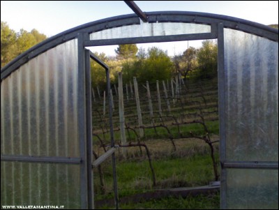 29032017lavori-serra.jpg (160.52 KiB) Osservato 600 volte 29032017lavori-serra.jpg