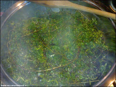 18032017decotto-timo.jpg (260.61 KiB) Osservato 600 volte 18032017decotto-timo.jpg