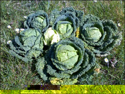 04042017verze.jpg (370.95 KiB) Osservato 599 volte 04042017verze.jpg