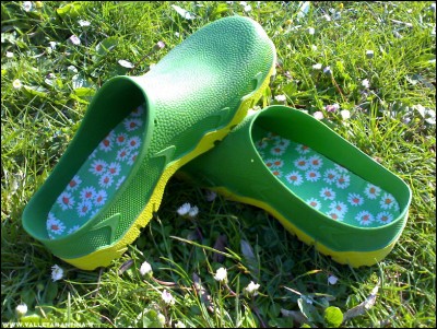 04042017-6684.jpg (377.72 KiB) Osservato 599 volte 04042017-6684.jpg