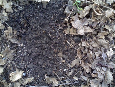 06042017terra.jpg (298.38 KiB) Osservato 723 volte 06042017terra.jpg