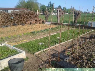 2017-04-09 17.40.49.jpg (170.15 KiB) Osservato 654 volte 2017-04-09 17.40.49.jpg