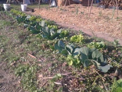 2017-04-09 17.41.23.jpg (198.68 KiB) Osservato 653 volte 2017-04-09 17.41.23.jpg