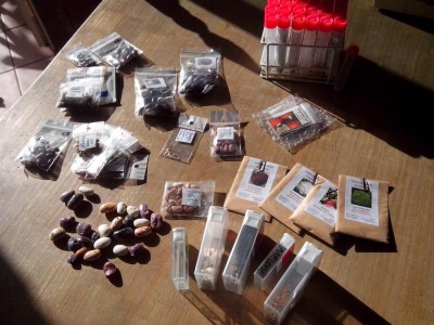 Scelta della semenze, in parte raccolte dall´anno scorso in parte donate con scambi. / 10.04.2017 250.jpg 10.04.2017 250.jpg