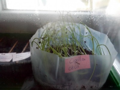 10.04.2017 349.jpg (57.6 KiB) Osservato 624 volte 10.04.2017 349.jpg