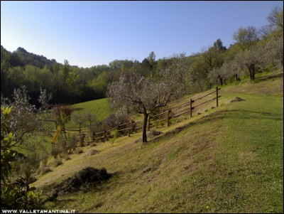 11042017sfalcio-erba.jpg (235.74 KiB) Osservato 614 volte 11042017sfalcio-erba.jpg