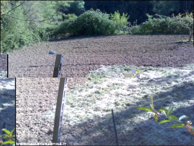 11042017pacciamatura-erba.jpg (288.87 KiB) Osservato 614 volte 11042017pacciamatura-erba.jpg