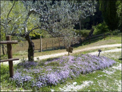 11042017timo-serpillo.jpg (345.84 KiB) Osservato 614 volte 11042017timo-serpillo.jpg