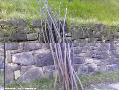 07042017tutori-fico.jpg (224.73 KiB) Osservato 612 volte 07042017tutori-fico.jpg