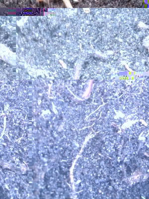 10.04.2017 102.jpg (155.74 KiB) Osservato 895 volte 10.04.2017 102.jpg