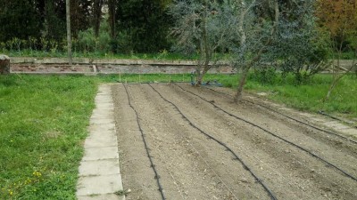 1.jpg (145.4 KiB) Osservato 1551 volte 1.jpg