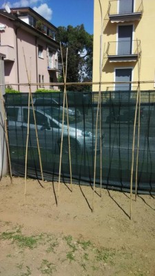 Tutori pomodori / orto_pomodori.jpeg orto_pomodori.jpeg