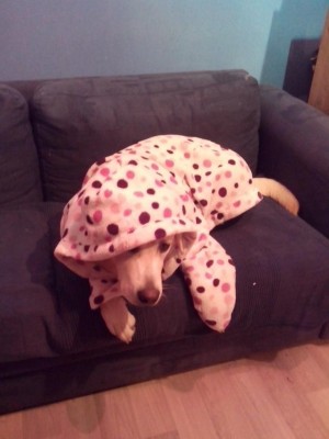 14.04.2017 019.jpg (56.12 KiB) Osservato 817 volte 14.04.2017 019.jpg