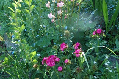 116.JPG (299.65 KiB) Osservato 598 volte 116.JPG