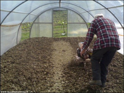 15042017motozappa-serra.jpg (217.97 KiB) Osservato 612 volte 15042017motozappa-serra.jpg