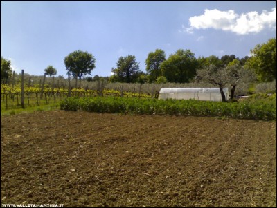 22042017terra-pomodori.jpg (234.47 KiB) Osservato 607 volte 22042017terra-pomodori.jpg