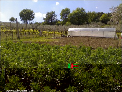 22042017panoramica.jpg (266.23 KiB) Osservato 607 volte 22042017panoramica.jpg