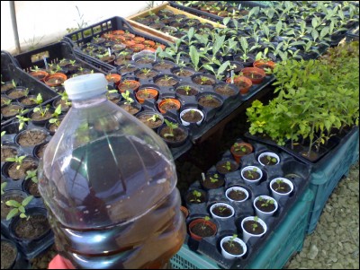 25042017ortica-serra.jpg (266.05 KiB) Osservato 601 volte 25042017ortica-serra.jpg