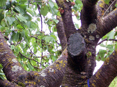 IMGP8649.JPG IMGP8649.JPG