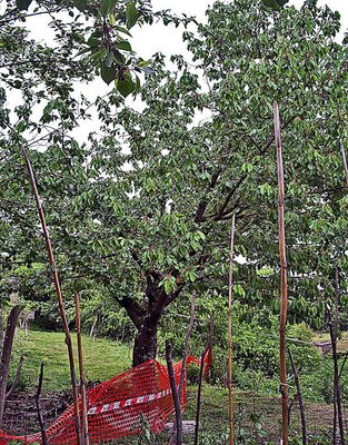 IMGP8648.JPG IMGP8648.JPG