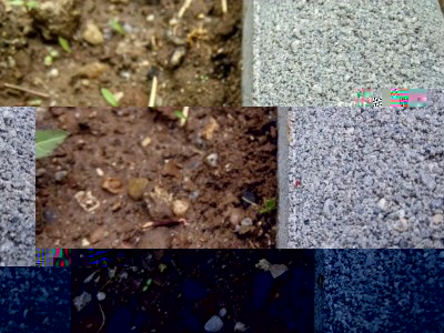 orto_pidocchietti.jpeg (141.63 KiB) Osservato 647 volte orto_pidocchietti.jpeg