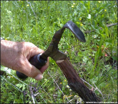 30042017innesto-vite.jpg (207.78 KiB) Osservato 503 volte 30042017innesto-vite.jpg