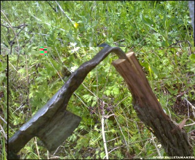 30042017innesto-vite2.jpg (227.87 KiB) Osservato 503 volte 30042017innesto-vite2.jpg