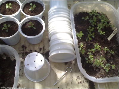 05052017ruta.jpg (175.92 KiB) Osservato 615 volte 05052017ruta.jpg