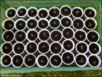 05052017ruta2.jpg (250.64 KiB) Osservato 615 volte 05052017ruta2.jpg