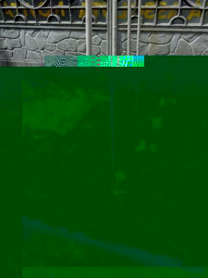 orto_zucchine2.jpeg (203.13 KiB) Osservato 571 volte orto_zucchine2.jpeg