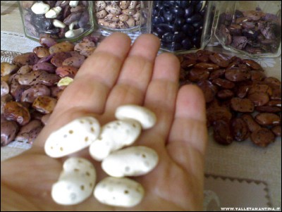 10052017tonchio.jpg (194.06 KiB) Osservato 712 volte 10052017tonchio.jpg