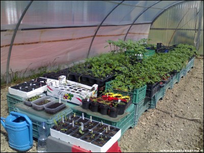 11052017serra2.jpg (266.19 KiB) Osservato 711 volte 11052017serra2.jpg