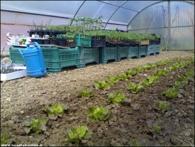 10052017serra.jpg (297.9 KiB) Osservato 711 volte 10052017serra.jpg