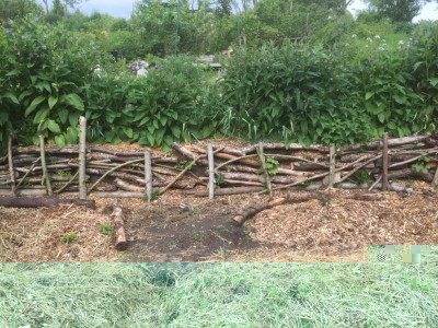 IMG_1500.JPG (214.05 KiB) Osservato 1461 volte IMG_1500.JPG