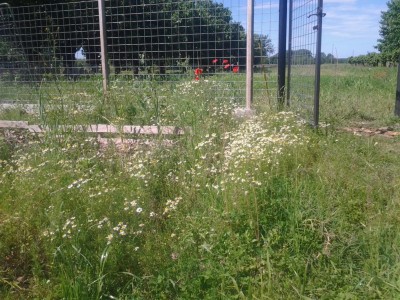 2017-05-21 10.22.42.jpg (195.34 KiB) Osservato 606 volte 2017-05-21 10.22.42.jpg