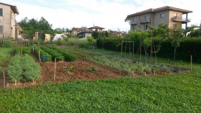 85.jpg (122.61 KiB) Osservato 524 volte 85.jpg