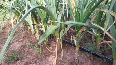 87.jpg (125.6 KiB) Osservato 524 volte 87.jpg