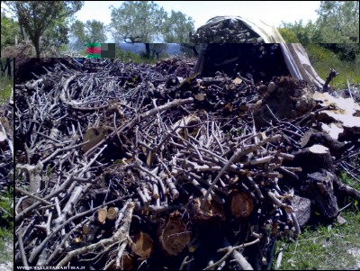 19052017legnaia.jpg (322.88 KiB) Osservato 498 volte 19052017legnaia.jpg