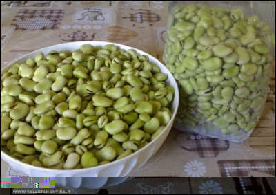 17052017fave.jpg (208.78 KiB) Osservato 493 volte 17052017fave.jpg