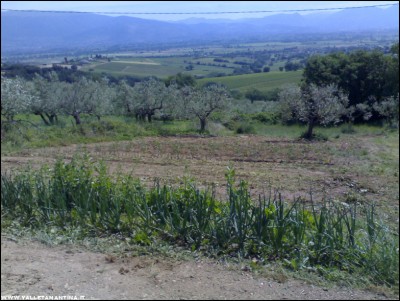 19052017panoramica.jpg (236.33 KiB) Osservato 493 volte 19052017panoramica.jpg