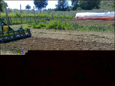 19052017erpice.jpg (329.16 KiB) Osservato 493 volte 19052017erpice.jpg