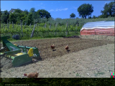 19052017erpice2.jpg (249.68 KiB) Osservato 491 volte 19052017erpice2.jpg