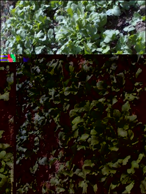 22052017ravanelli.jpg (252.18 KiB) Osservato 489 volte 22052017ravanelli.jpg