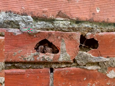 Il muro dove sono nate (P.S. come si può dedurre non è mai stato demolito) / IMG_5321.JPG IMG_5321.JPG