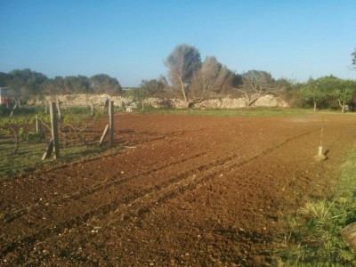 4 / IMG_20170418_190145.jpg IMG_20170418_190145.jpg