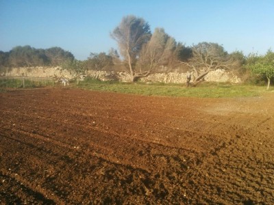 3 / IMG_20170418_190130.jpg IMG_20170418_190130.jpg