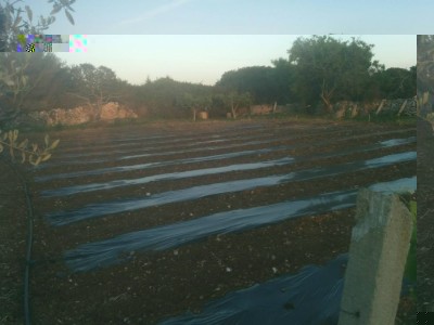 2 / IMG_20170429_200421.jpg IMG_20170429_200421.jpg