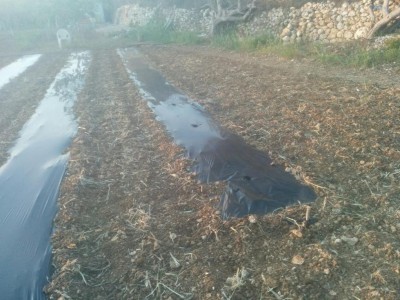 1 / IMG_20170429_200505.jpg IMG_20170429_200505.jpg